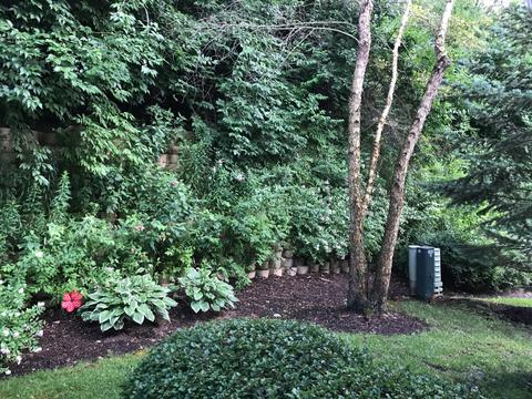 377 Emerald Ln, Algonquin, IL 60102 photo 2