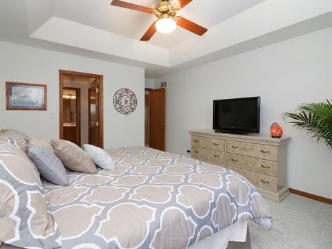 13202 Northland Dr, Plainfield, IL 60585 photo 20