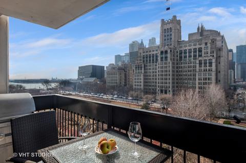 222 E Pearson St #802, Chicago, IL 60611 photo 18