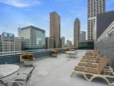 222 E Pearson St #802, Chicago, IL 60611 photo 21