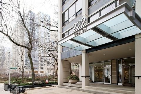 222 E Pearson St #802, Chicago, IL 60611 photo 1