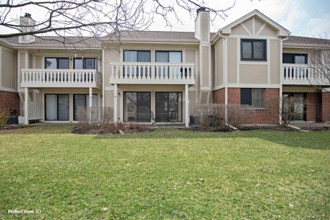 1056 Deerpath Ct #B1, Wheeling, IL 60090 photo 20