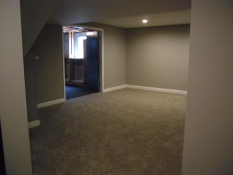 1086 E Gartner Rd, Naperville, IL 60540 photo 37