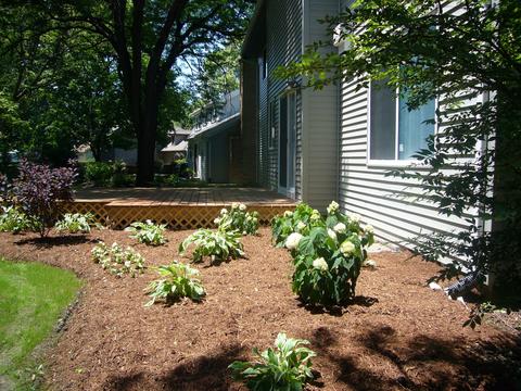 1086 E Gartner Rd, Naperville, IL 60540 photo 47