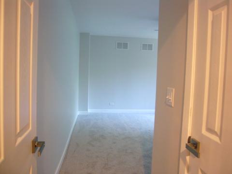 1086 E Gartner Rd, Naperville, IL 60540 photo 23