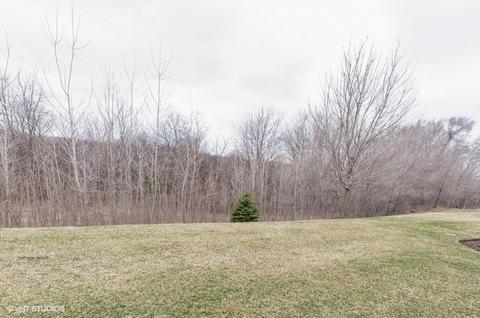 345 Bakers Ct, Lakemoor, IL 60051 photo 9