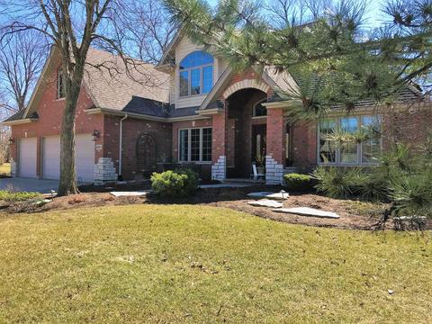 20013 White Pine Ct, Mokena, IL 60448 photo 50