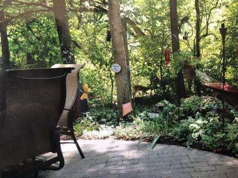 20013 White Pine Ct, Mokena, IL 60448 photo 37