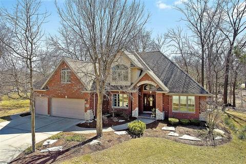 20013 White Pine Ct, Mokena, IL 60448 photo 1