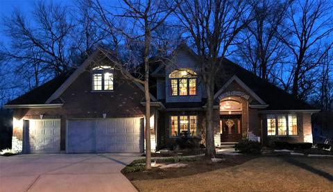 20013 White Pine Ct, Mokena, IL 60448 photo 49