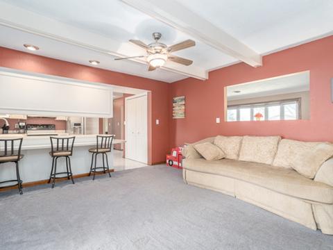 612 Main St, Mazon, IL 60444 photo 14