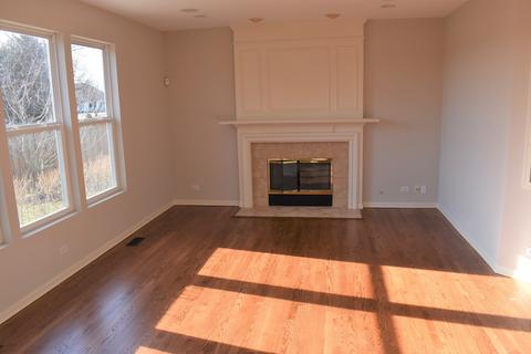 24249 Bristol Ave, Plainfield, IL 60585 photo 7