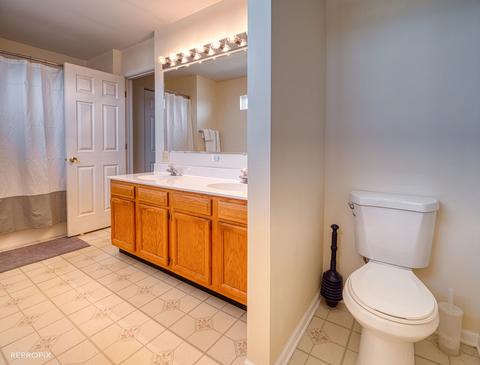2127 W Adobe Dr, Addison, IL 60101 photo 15