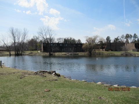 905 Kenneth Cir, Elgin, IL 60120 photo 14