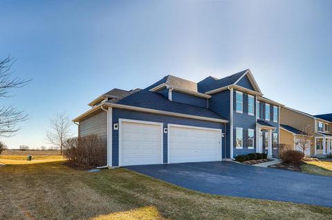 669 Slate Run, Elgin, IL 60124 photo 3