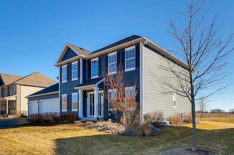 669 Slate Run, Elgin, IL 60124 photo 1
