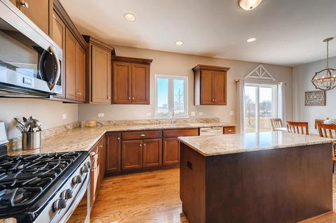 669 Slate Run, Elgin, IL 60124 photo 10