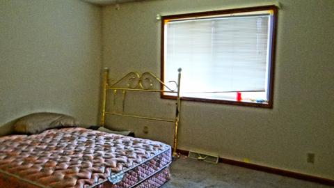 2628 Switch Grass Rd, Morris, IL 60450 photo 20