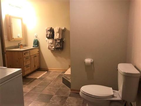 1720 Edgewater Dr, Morris, IL 60450 photo 23