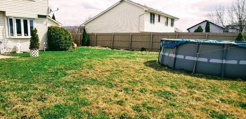 1711 Cumberland Dr, Plainfield, IL 60586 photo 5
