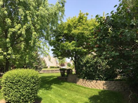 5307 Galloway Dr, Hoffman Estates, IL 60192 photo 23