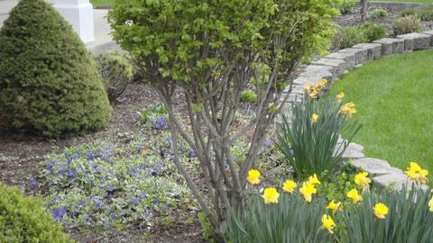 5307 Galloway Dr, Hoffman Estates, IL 60192 photo 22