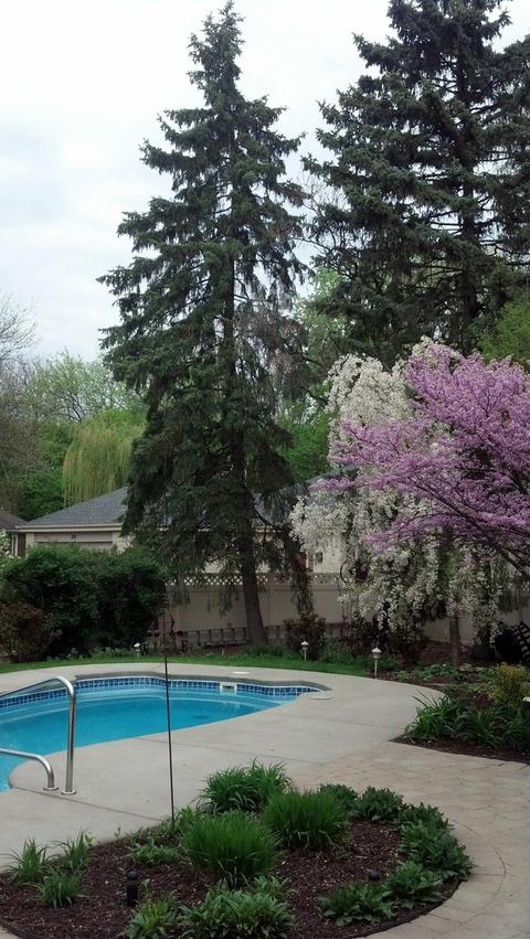 1528 Wadsworth Rd, Wheaton, IL 60189 photo 19