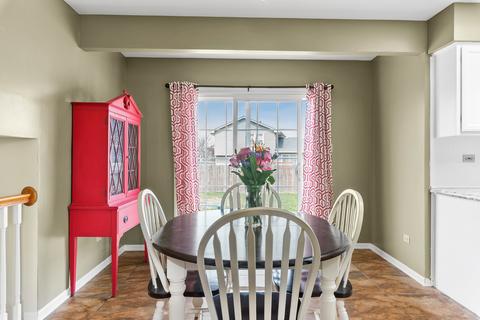 6919 Great Falls Dr, Plainfield, IL 60586 photo 9