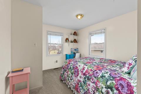 6919 Great Falls Dr, Plainfield, IL 60586 photo 13