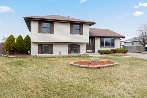 6919 Great Falls Dr, Plainfield, IL 60586 photo 2