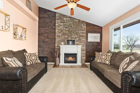 6919 Great Falls Dr, Plainfield, IL 60586 photo 4