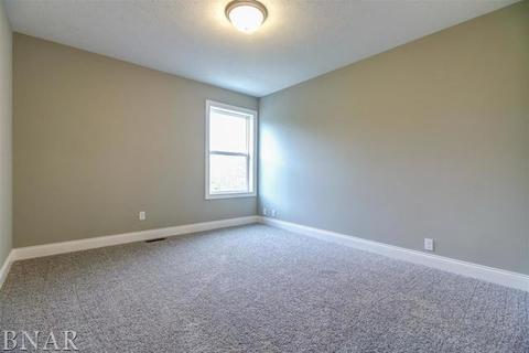 205 Eldon Dr, Downs, IL 61736 photo 19