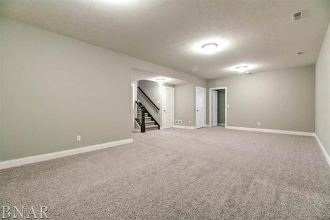 205 Eldon Dr, Downs, IL 61736 photo 23
