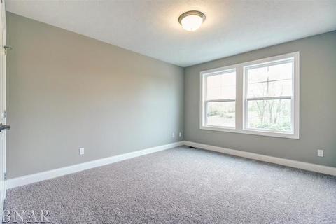 205 Eldon Dr, Downs, IL 61736 photo 21