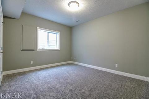 205 Eldon Dr, Downs, IL 61736 photo 24
