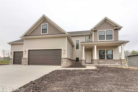 205 Eldon Dr, Downs, IL 61736 photo 1