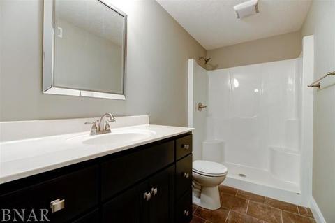 205 Eldon Dr, Downs, IL 61736 photo 25