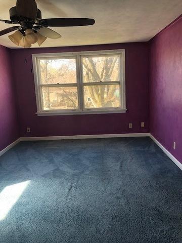 462 S Edison Ave, Elgin, IL 60123 photo 12