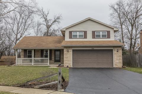 784 Bayberry Dr, Bartlett, IL 60103 photo 2