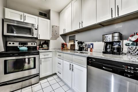 33 E Cedar St #4G, Chicago, IL 60611 photo 3