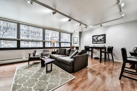 33 E Cedar St #4G, Chicago, IL 60611 photo 10