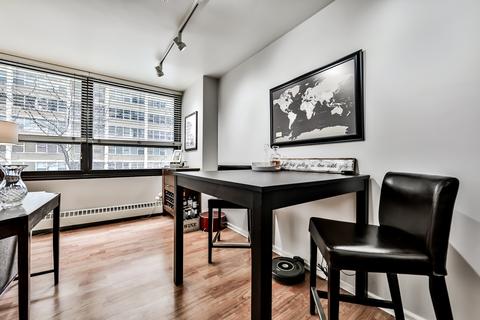 33 E Cedar St #4G, Chicago, IL 60611 photo 13