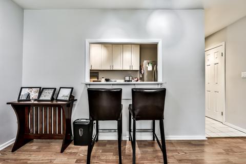 33 E Cedar St #4G, Chicago, IL 60611 photo 7