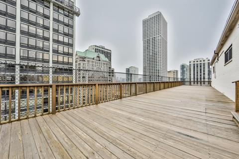 33 E Cedar St #4G, Chicago, IL 60611 photo 20