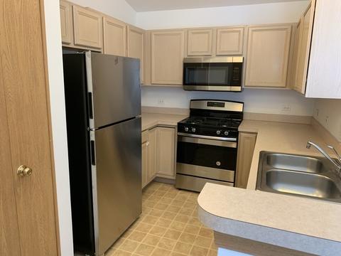 690 Mill Cir #303, Wheeling, IL 60090 photo 5