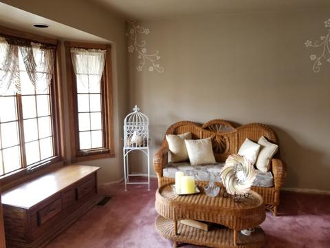 548 E Bemes Rd, Crete, IL 60417 photo 12