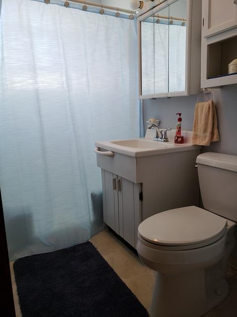 15450 Hamlin Ave, Markham, IL 60428 photo 12