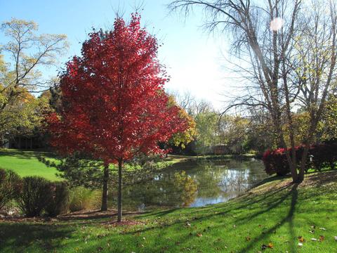 4908 Round Hill Ct, Johnsburg, IL 60051 photo 31