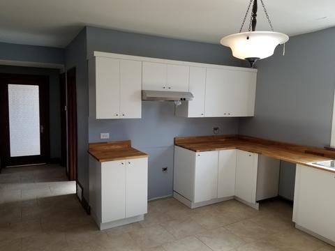 8640 S Manistee Ave, Chicago, IL 60617 photo 9
