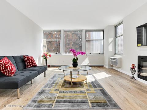 30 Elm St #9E, Chicago, IL 60611 photo 9